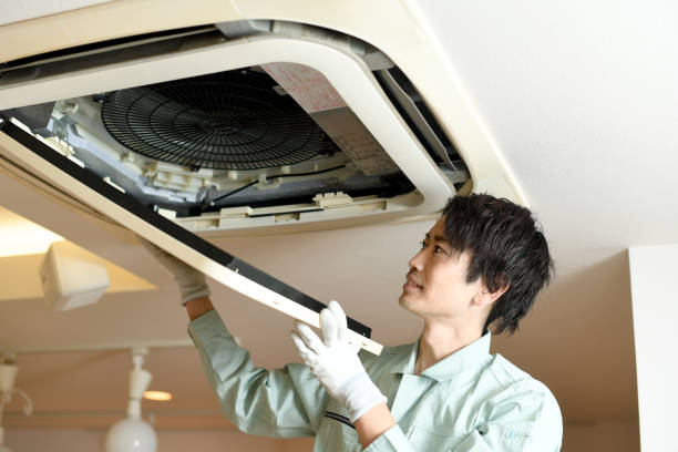 Best Air Duct Mold Removal  in Southwest Greensburg, PA